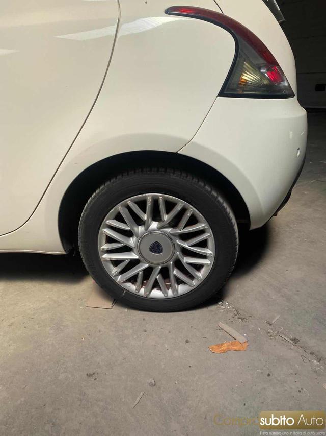 LANCIA Ypsilon 1.3 MJT 16V 95 CV 5 porte S&S Elefantino