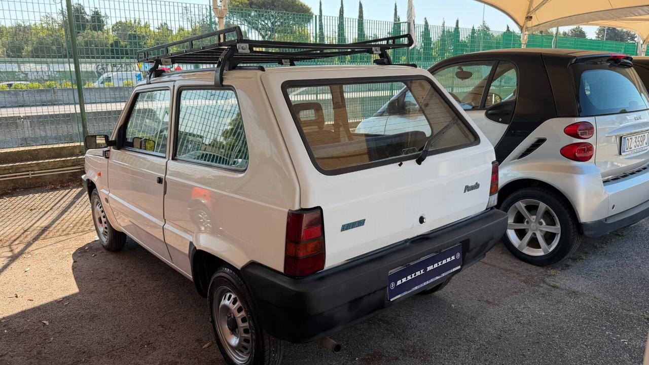 Fiat Panda 900 i.e. cat Young