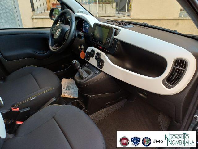 FIAT Panda Pandina Cross 1.0 FireFly Hybrid 5°P Auto Nuova