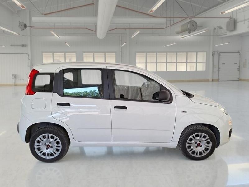 FIAT PANDA 1.2 69 CV SES E6D-TEMP EASY 5 PORTE BERLINA