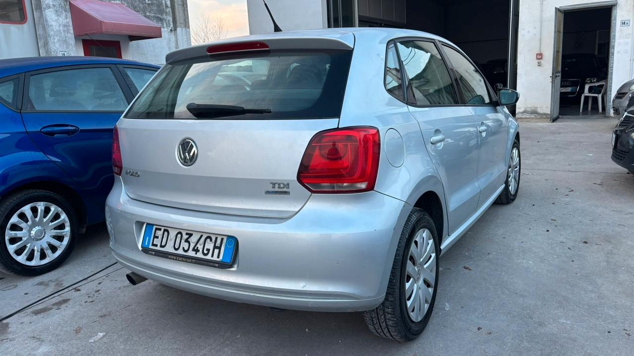 Volkswagen Polo 1.6 TDI 90CV DPF 5 porte Highline