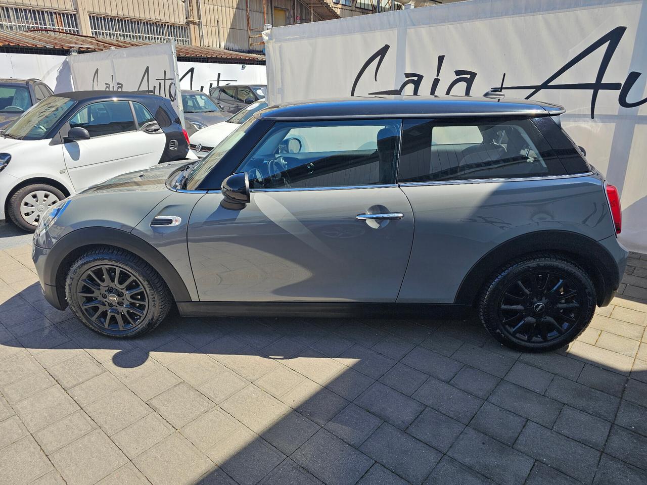 Mini Mini 1.5 One D Hype