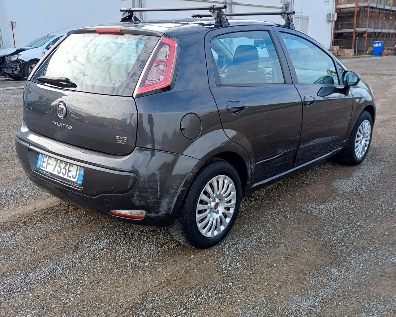 Fiat Punto Evo 1.2 5 porte S&S Dynamic
