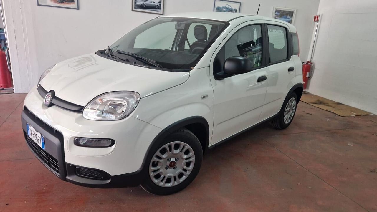 NOLEGGIO Fiat Panda 1.0 FireFly S&S Hybrid NOLEGGIO A 40
