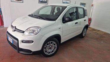 NOLEGGIO Fiat Panda 1.0 FireFly S&S Hybrid NOLEGGIO A 40