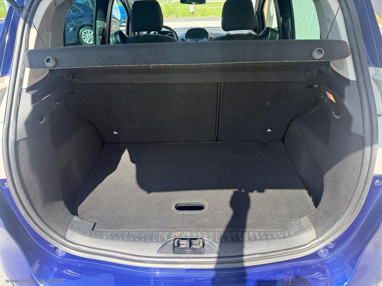 FORD B-Max 1.4 90 CV GPL Business Titanium MOLTO BEN TENUTA