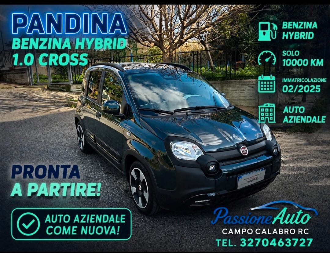 Fiat Panda 1.0 FireFly S&S Hybrid Pandina 2025