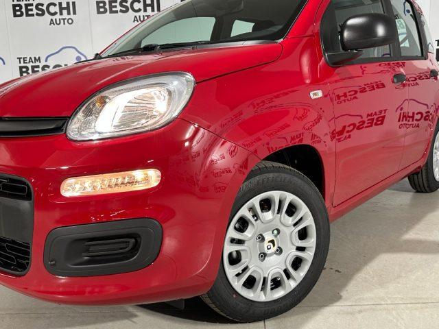 FIAT New Panda 1.0 FireFly 70CV Hybrid 5P. MY25