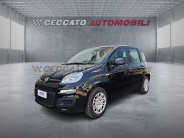 FIAT Panda Panda 1.0 firefly hybrid s&s 70cv 5p.ti