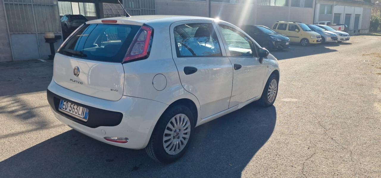 Fiat Punto Evo Punto Evo 1.2 3 porte Active