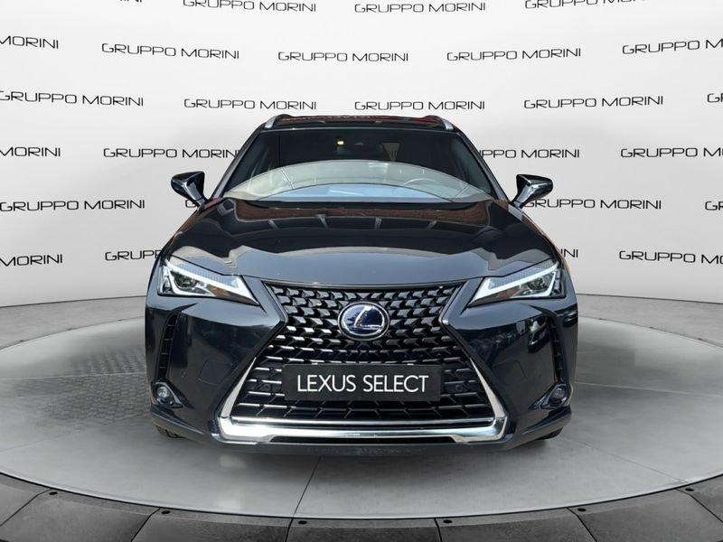 Lexus UX Hybrid Executive 2WD MY22