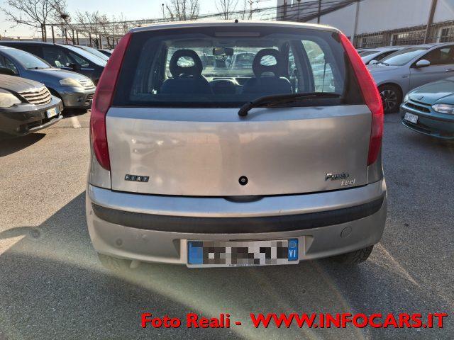 FIAT Punto 1.2i 16V cat 5 porte Feel solo euro 990