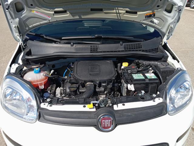 FIAT Panda *PROMO* 1.0 FireFly S&S Hybrid