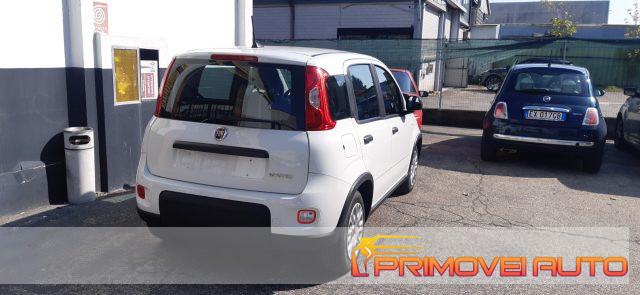 FIAT Panda 1.0 FireFly S&S Hybrid PRONTA CONSEGNA