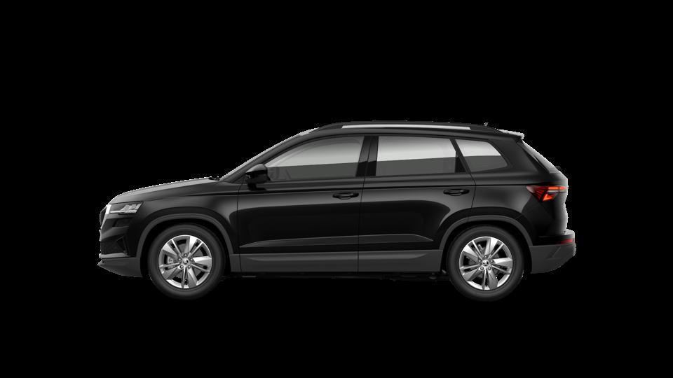 Skoda Karoq 2.0 tdi evo Executive 115cv