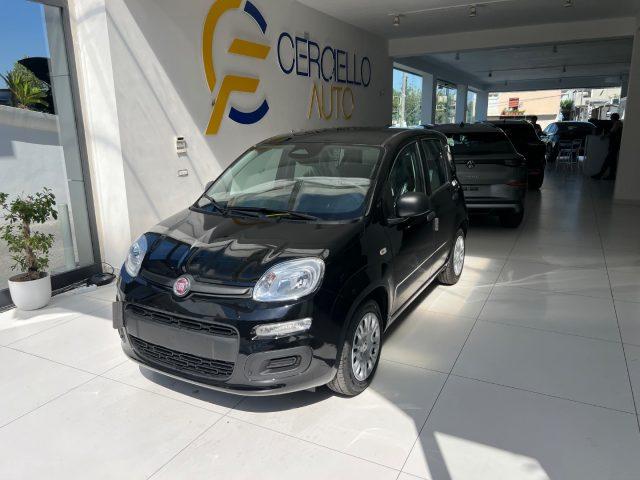 FIAT Panda 1.0 FireFly S&S Hybrid Icon tua da ?149,,00