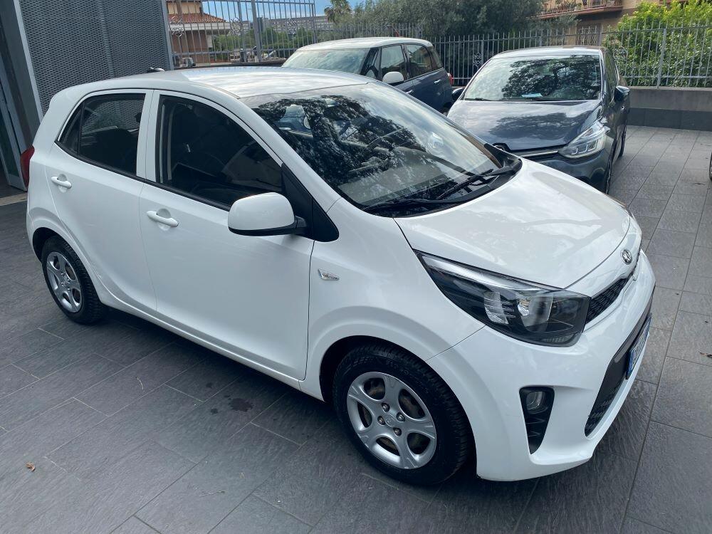 Kia Picanto 1.0 12V 5 porte Urban