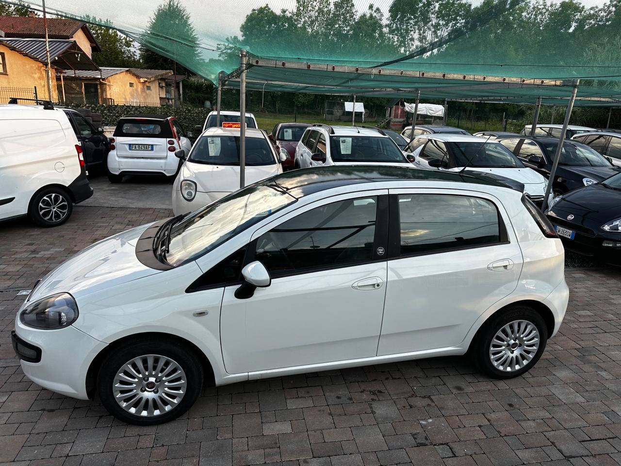 Fiat Punto Evo 1.3 Mjt 75 CV 5 porte S&S Dynamic