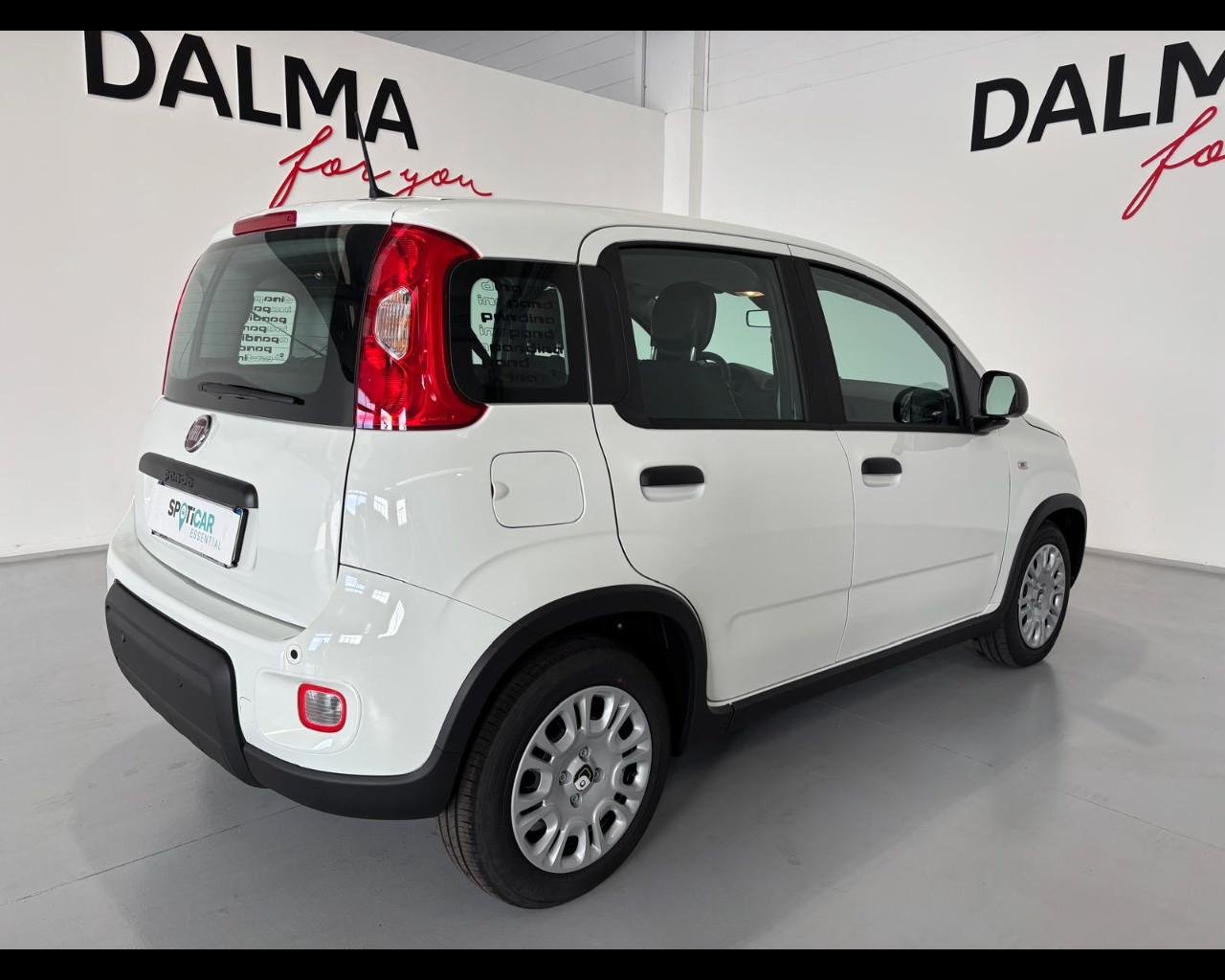 FIAT Pandina III 2024 - Pandina 1.0 firefly hybrid Pop s&s 70cv