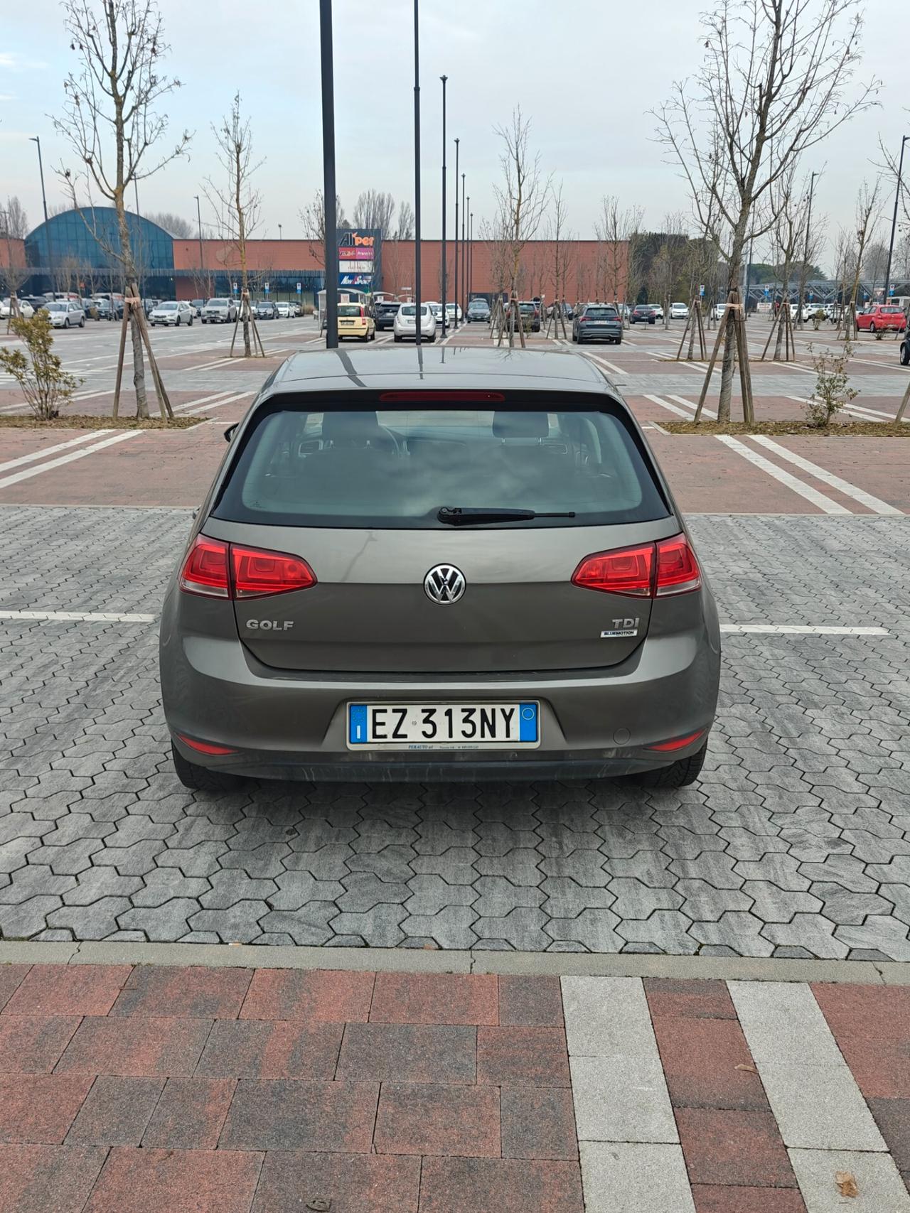 Volkswagen Golf 1.6 TDI - Neopatentati