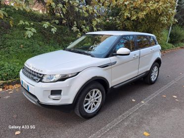 Land Rover Range Rover Evoque Range Rover Evoque 2.2 TD4 150 CV 5p. Business Edition