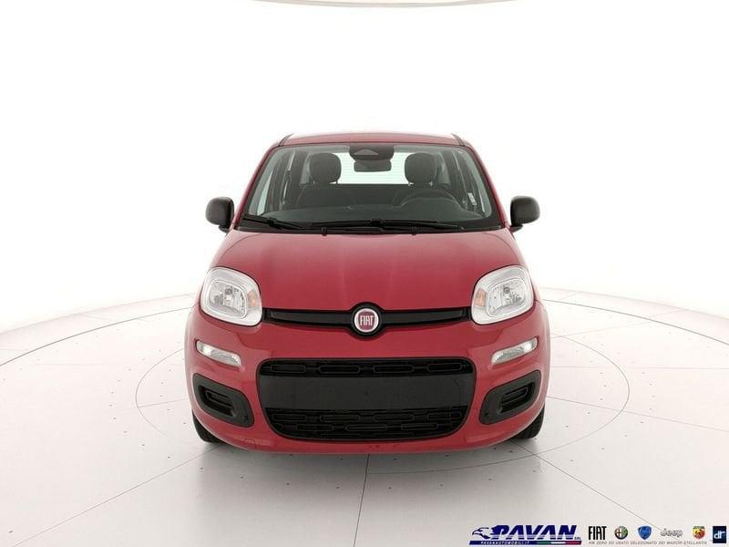 FIAT Pandina Panda 1.0 FireFly 65 CV Hybrid Pop