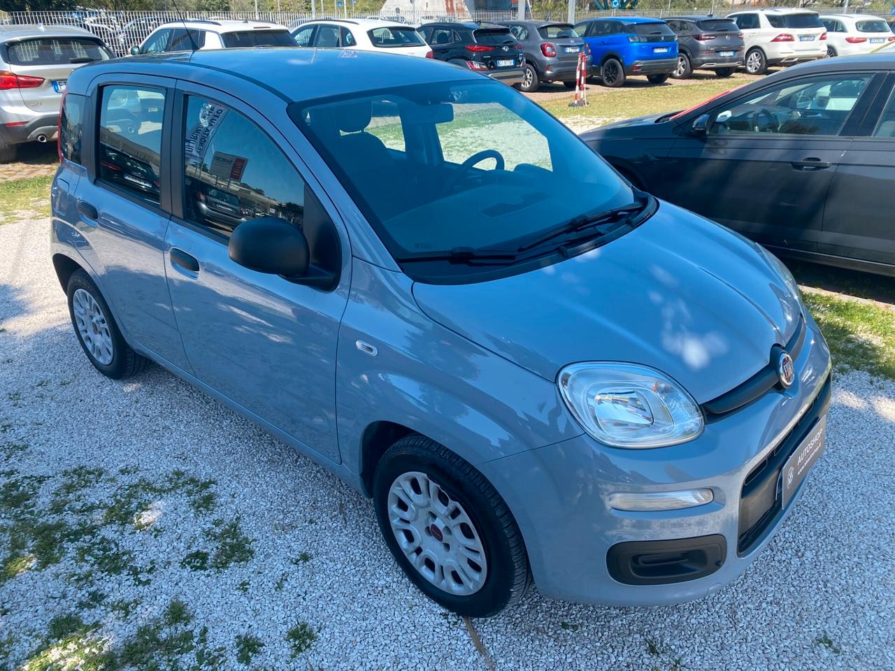 FIAT - Panda - 1.2 Easy - NEOPATENTATI - FINANZIABILE - PERMUTE