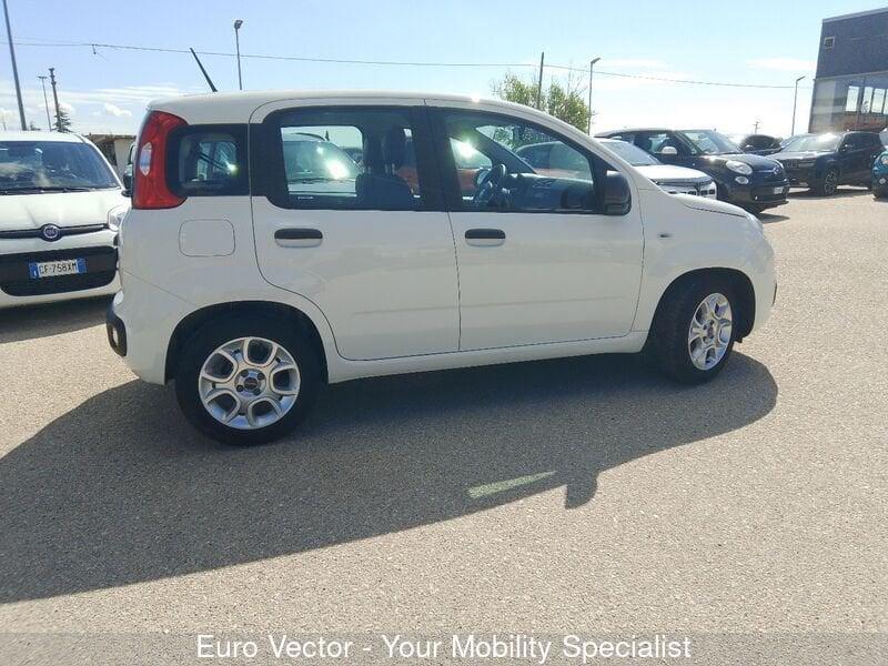 FIAT Panda Panda 1.0 FireFly S&S Hybrid Launch Edition