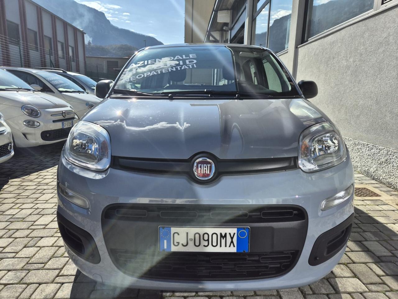Fiat Panda 1.0 FireFly S&S Hybrid OK NEOPATENTATO
