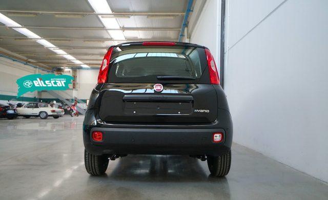 FIAT Panda 1.0 FireFly S&S Hybrid Icon