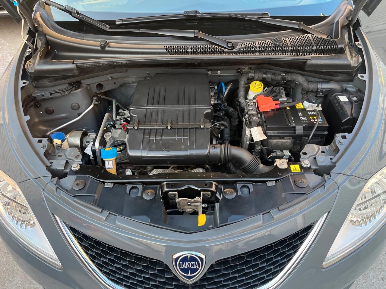 Lancia Ypsilon 1.2 69 CV 5 porte Platinum