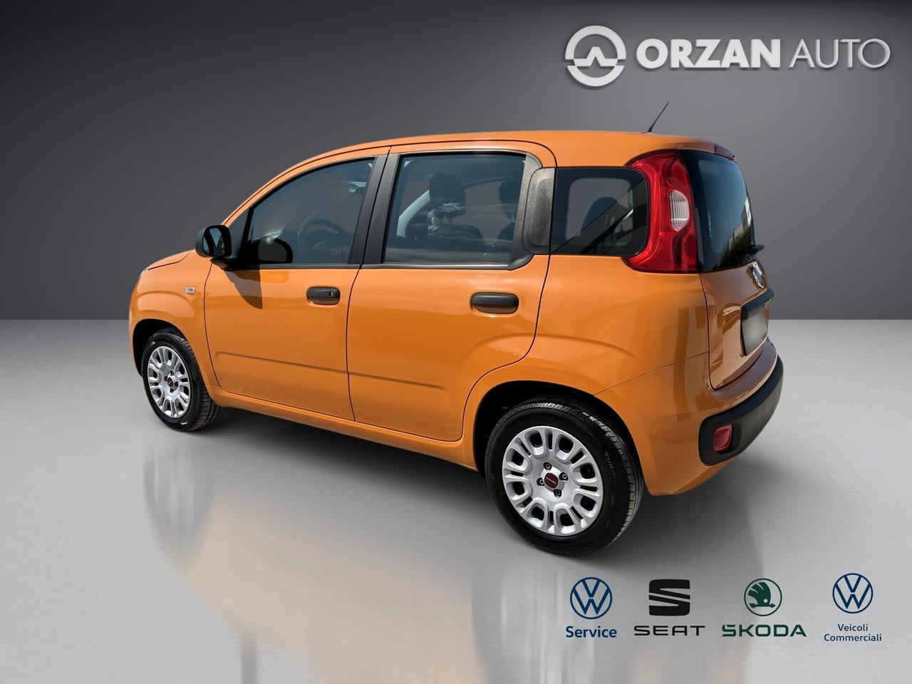 Fiat Panda 1.2 Easy VENDITE 3491558563 - 3478673115
