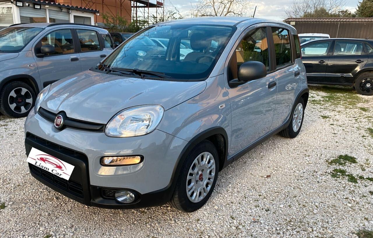 Fiat Panda 1.0 Hybrid City Life Ok Neop.