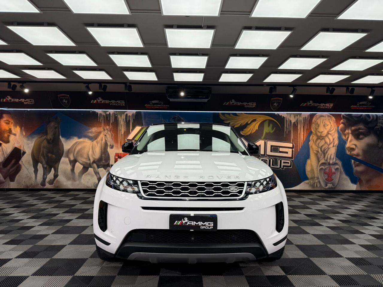 Land Rover Evoque 2.0 I4 200 CV AWD Auto S (387)