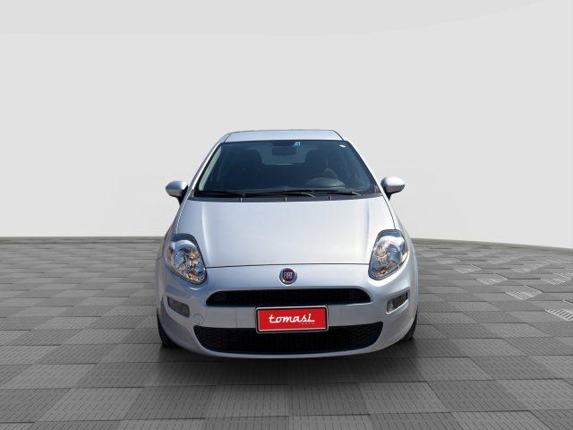 FIAT Punto Punto 1.2 8V 5 porte Street