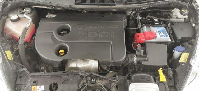 FORD Fiesta Ikon 1.4 TDCi 70CV 5 porte