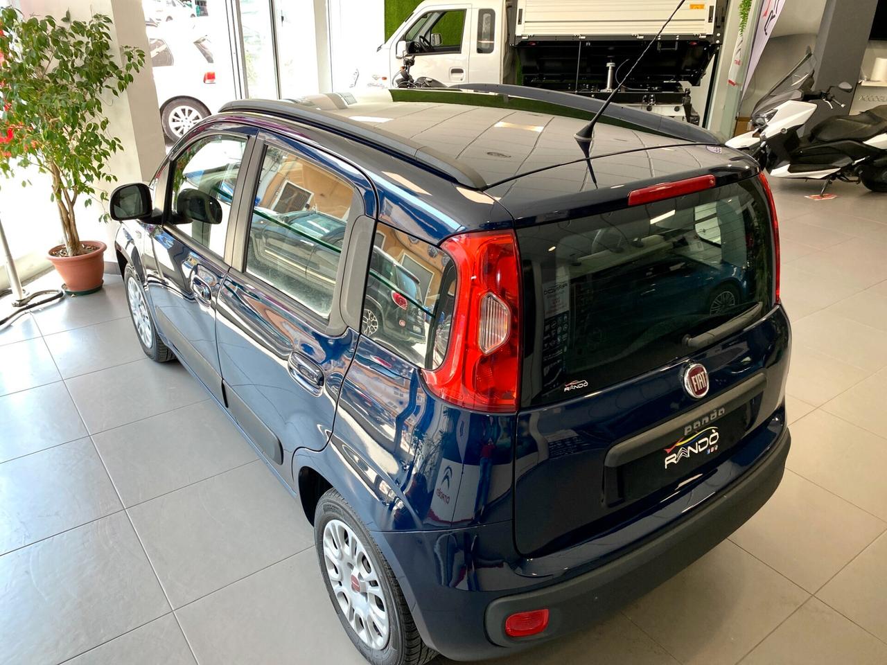 Fiat Panda 1.2 Benzina 69CV Easy - PERFETTA