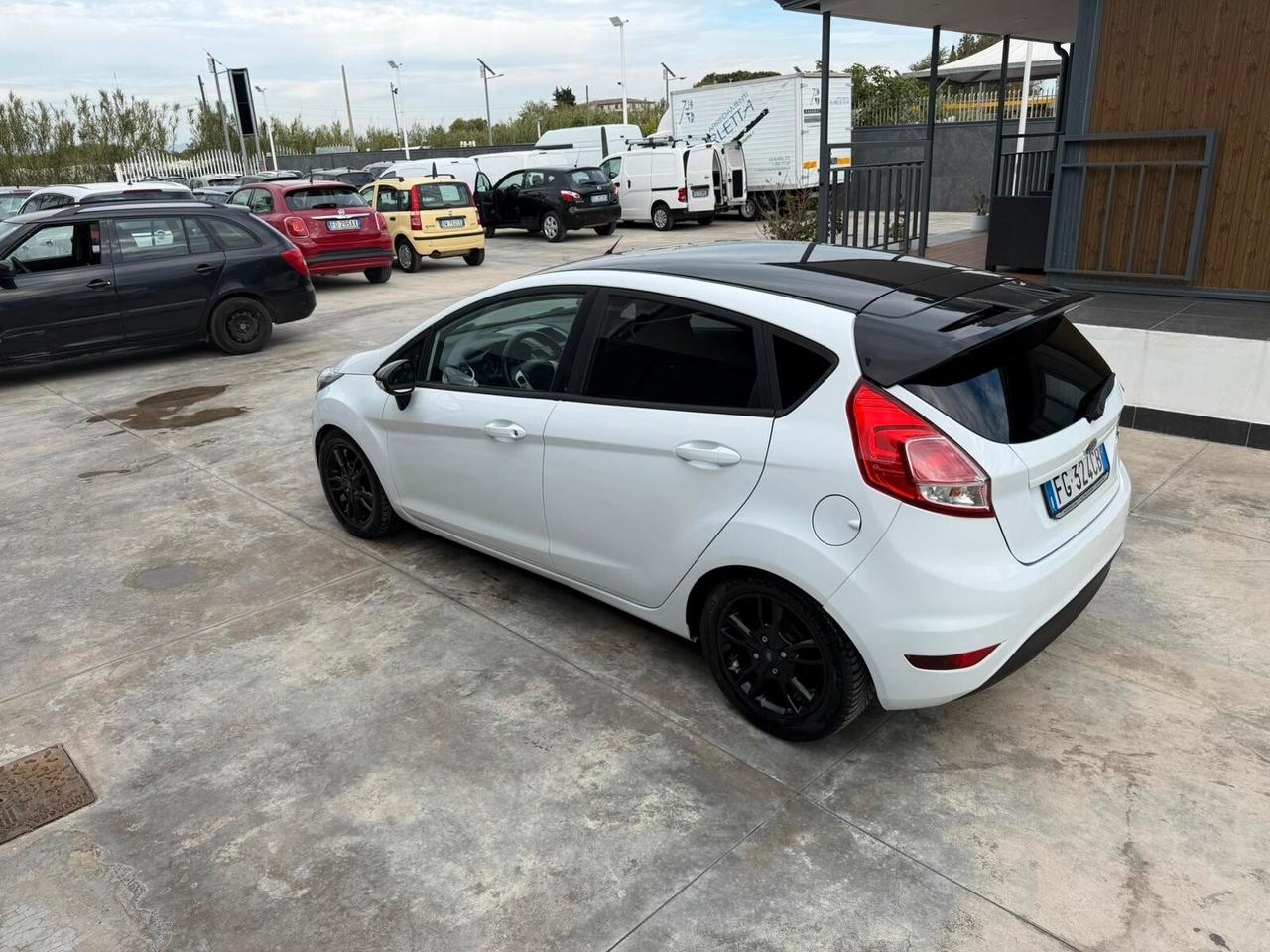 Ford Fiesta 1.5 TDCi 75CV 5 porte Black & White Edition