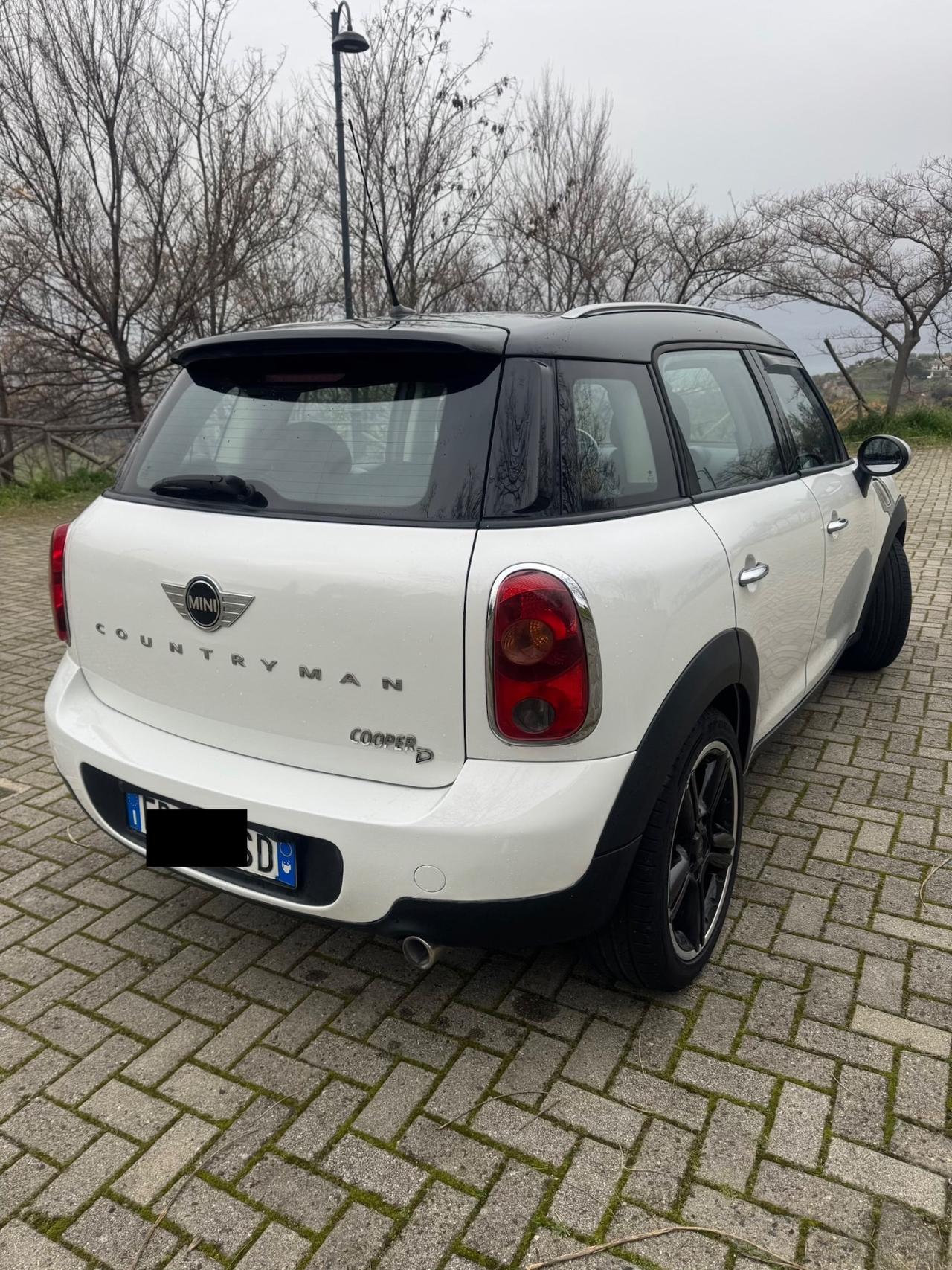 Mini Countryman 1.6 Diesel 110Cv 2010