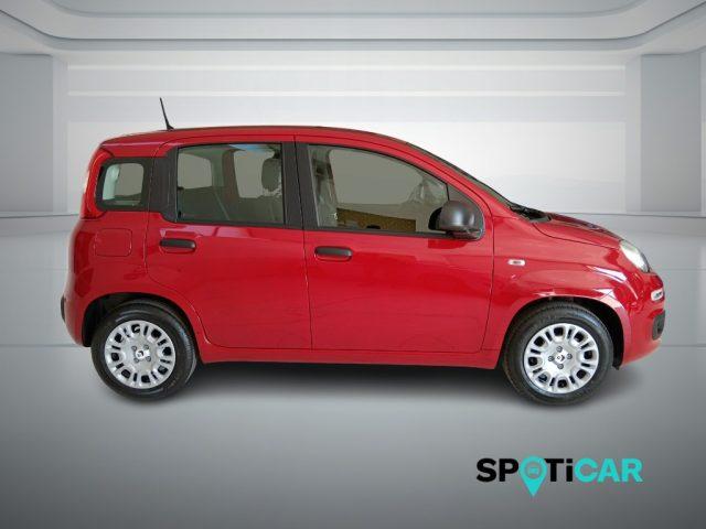 FIAT Panda 1.0 FireFly S&S Hybrid Icon