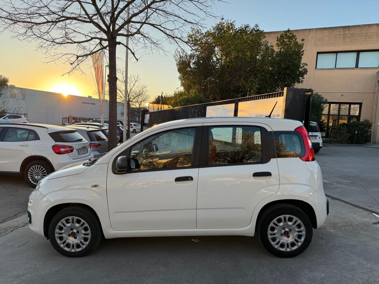 Fiat Panda KM. 34.000 1.2 Easy NEOPATENTATI