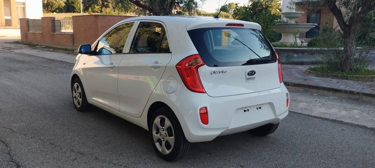 Kia Picanto 1.0 12V 5 porte Style