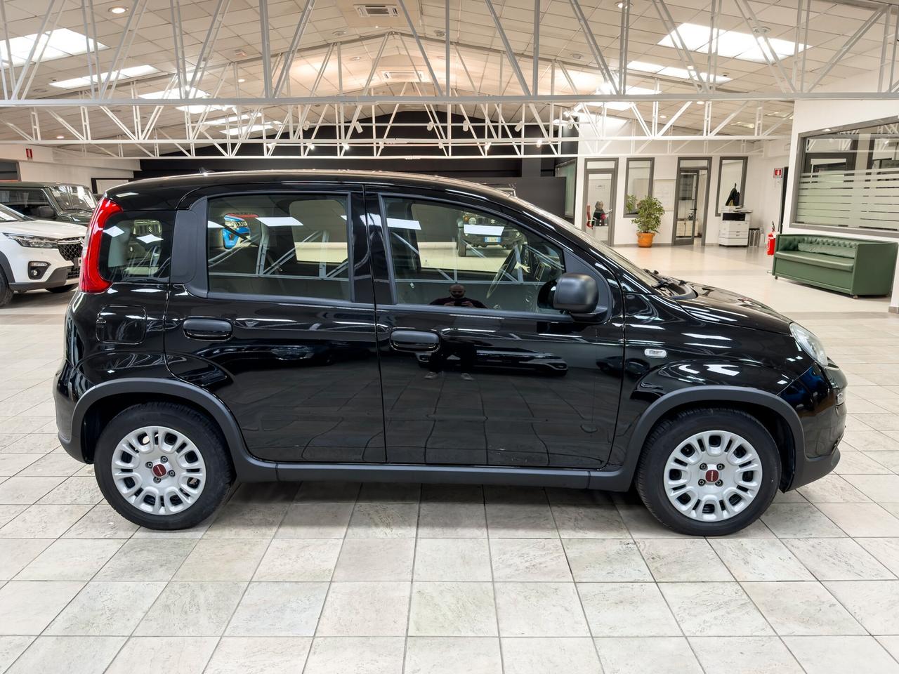 Fiat Panda 1.0 firefly hybrid NEOPATENTATI* IVA ESPOSTA