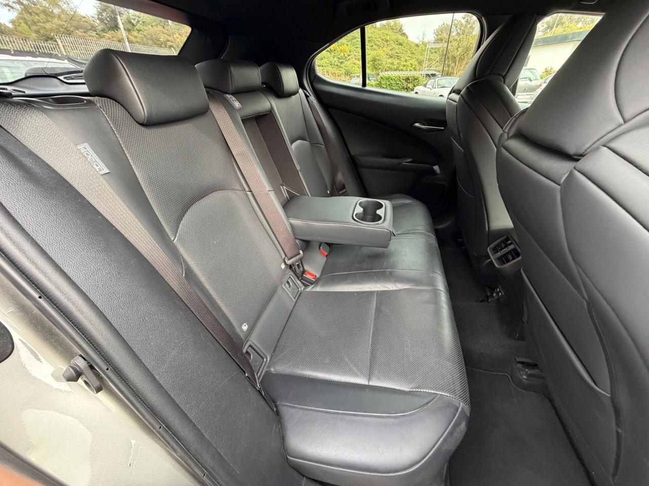 Lexus UX Hybrid 4WD Luxury