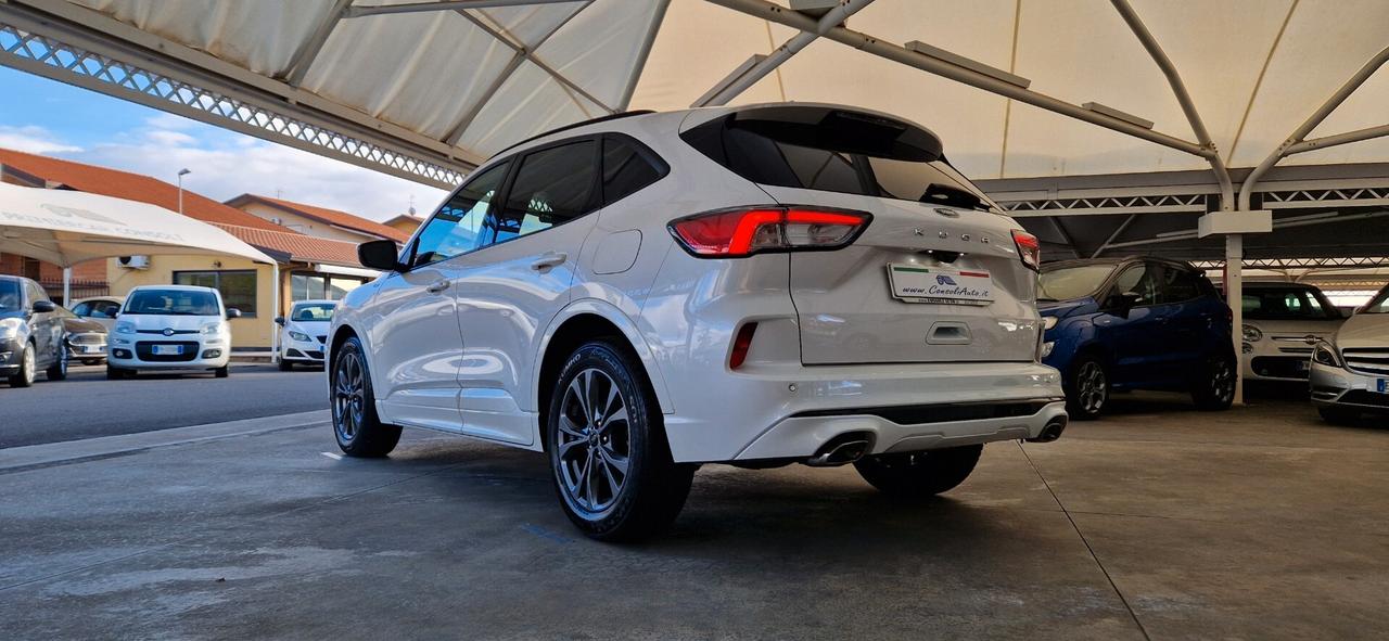 Ford Kuga 1.5 EcoBlue 120cv ST-Line X