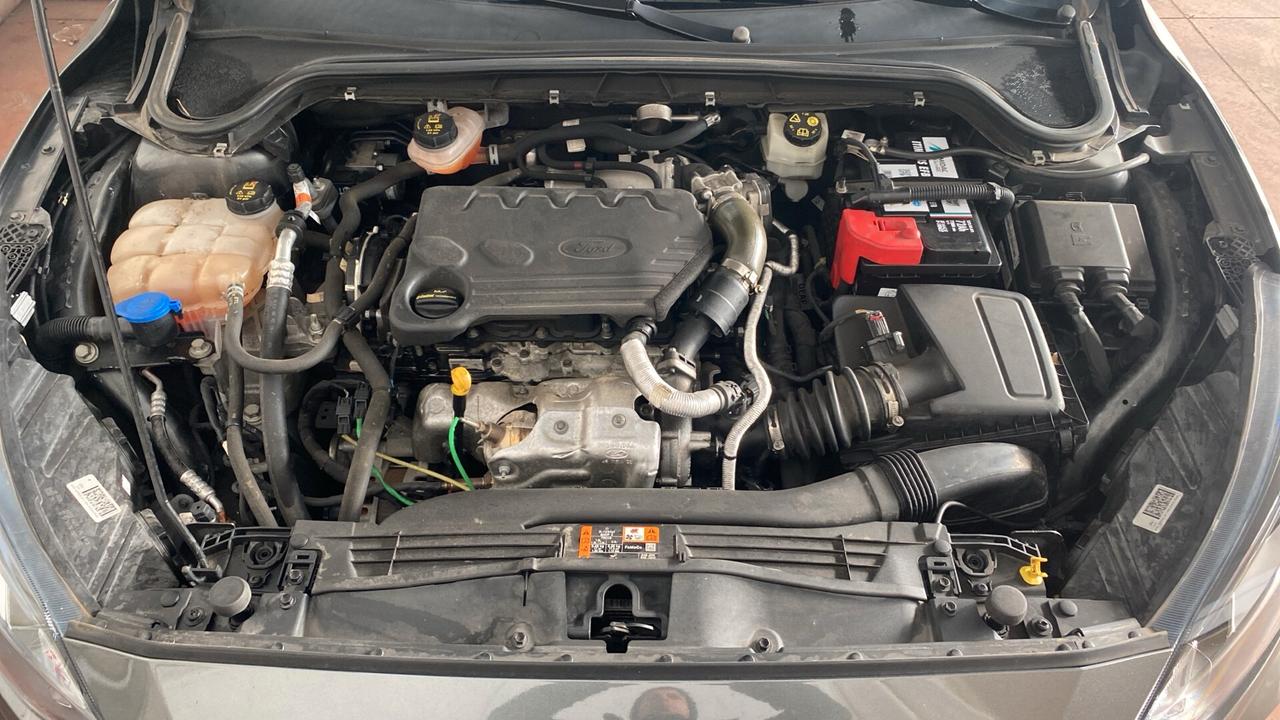 Ford Focus 1.5 EcoBlue 120 CV 5p. ST-Line 2021