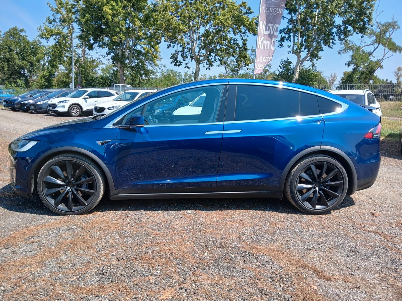 Tesla Model X Model X 100kWh Dual Motor