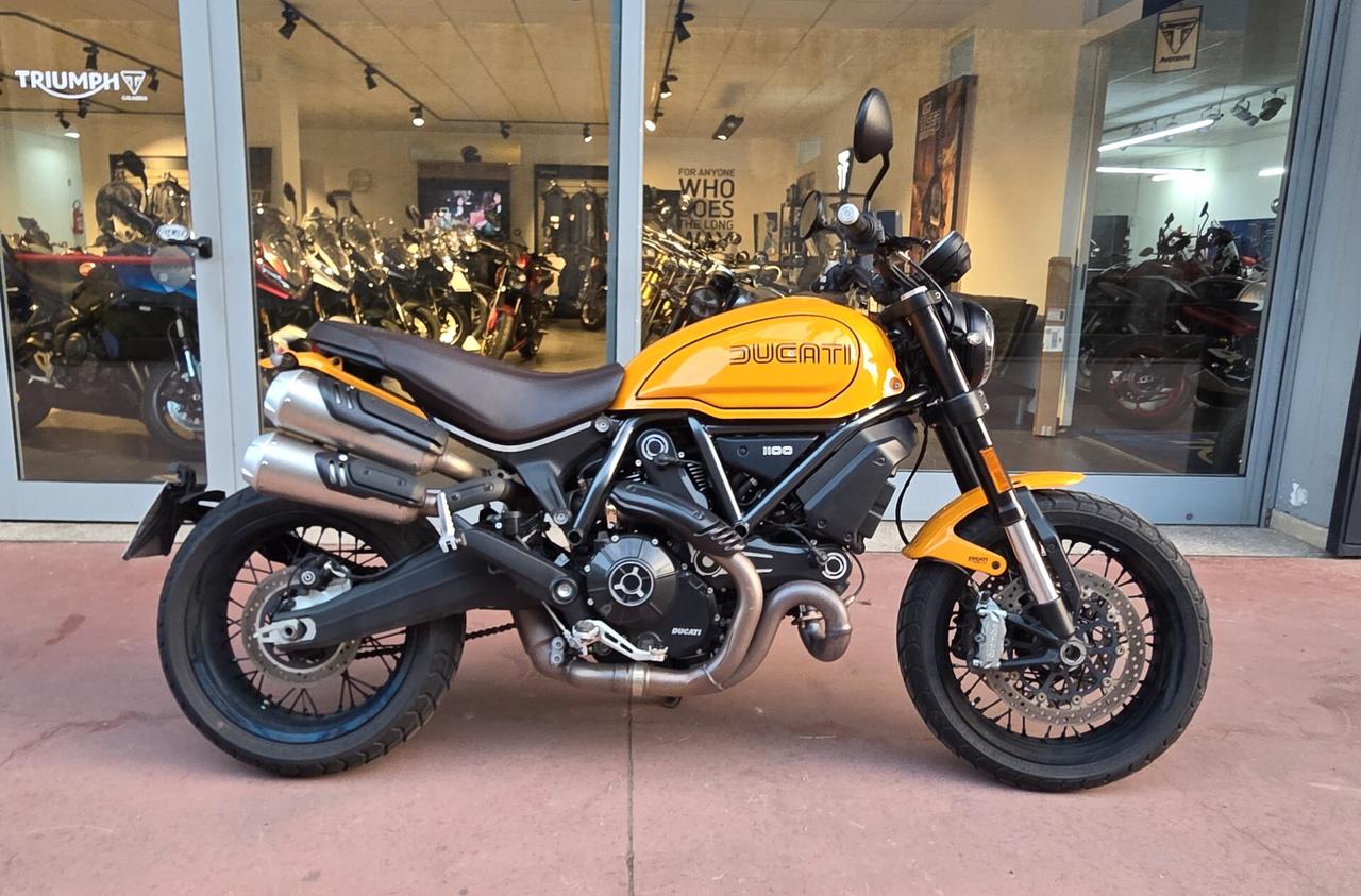 Ducati Scrambler 1100 TRIBUTE PRO