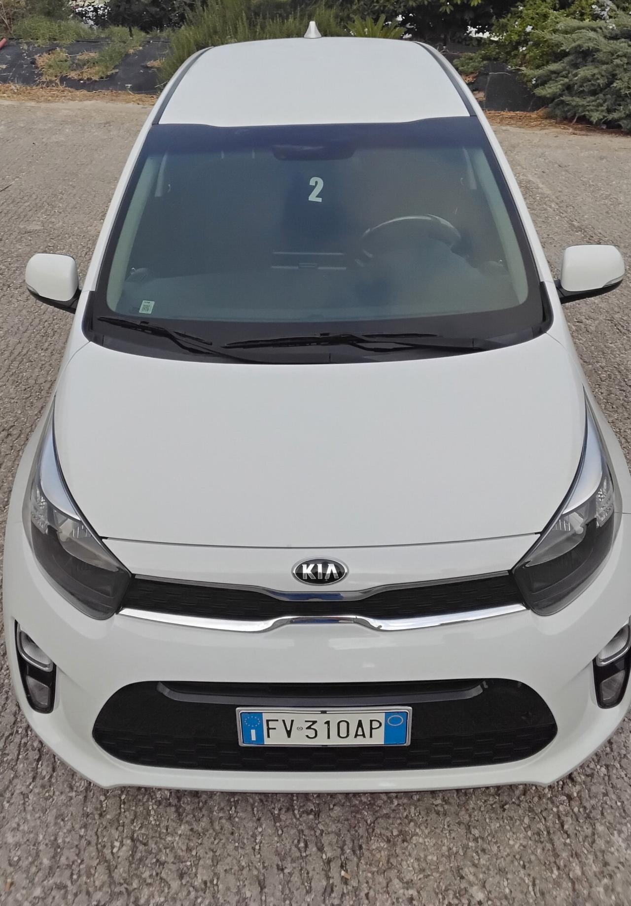 Kia Picanto 1.0 12V 5 porte Cool