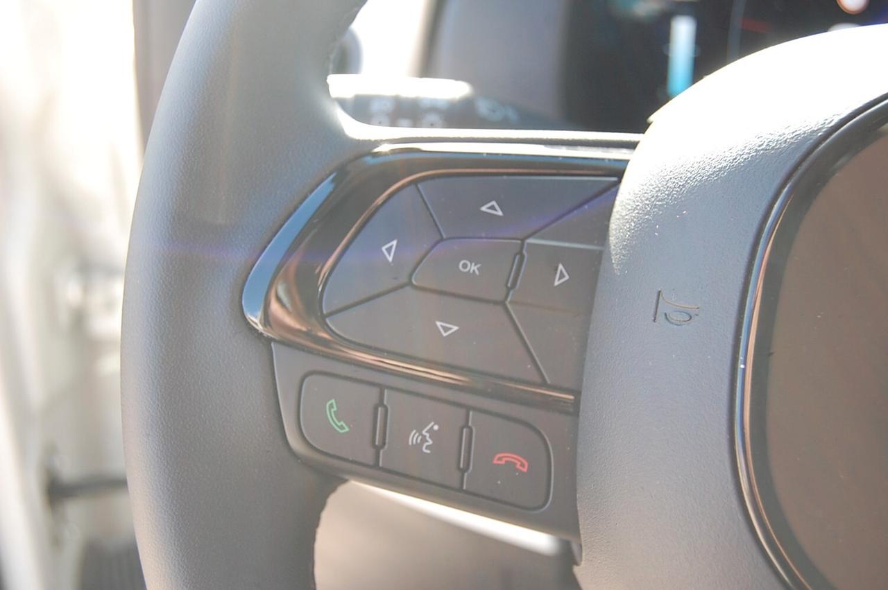 Fiat Panda Cross 1.0 FireFly S&S Hybrid